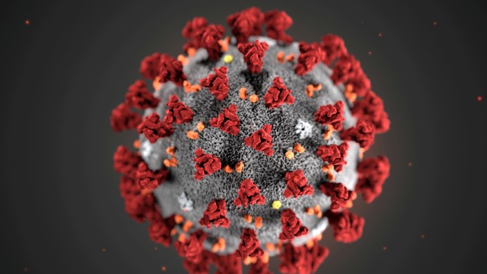 coronavirus